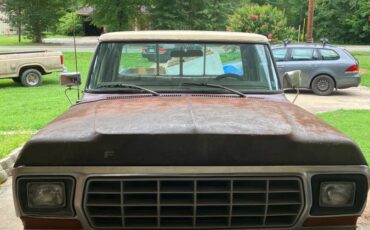 Ford-f100-1979-brown