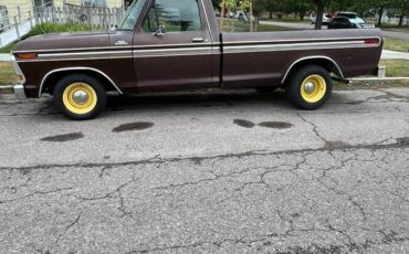 Ford-f100-1979-brown-4