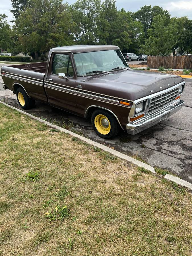 Ford-f100-1979-brown