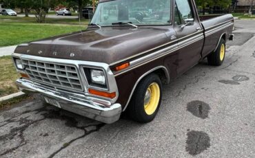Ford-f100-1979-brown-5