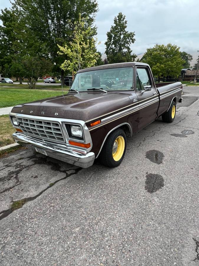Ford-f100-1979-brown-5