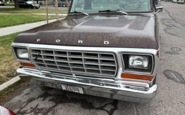 Ford-f100-1979-brown-6