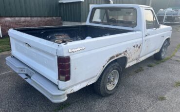 Ford-f100-1981-white-2