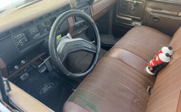 Ford-f100-1981-white-4