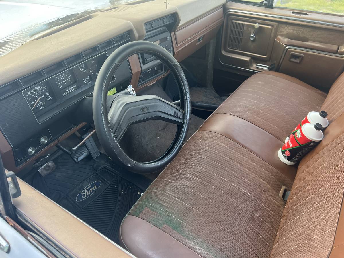 Ford-f100-1981-white-4