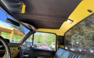Ford-f100-1981-yellow-9