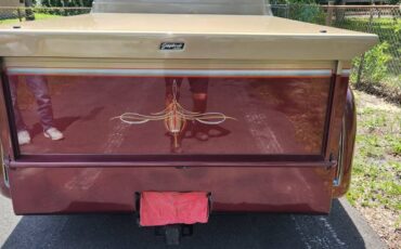 Ford-f100-custom-1953-custom-1