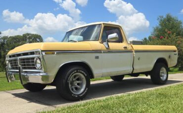 Ford-f100-custom-1975-2