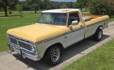 Ford-f100-custom-1975-3