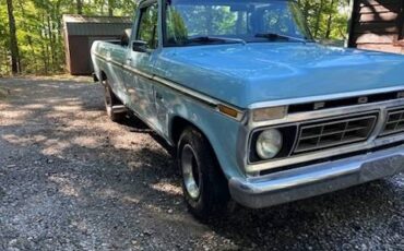 Ford-f100-custom-1976-blue-3