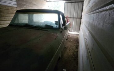 Ford-f100-pickup-1973-2