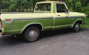 Ford-f100-pickup-1976-green-2
