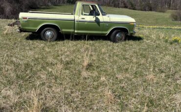 Ford-f100-pickup-1976-green-4