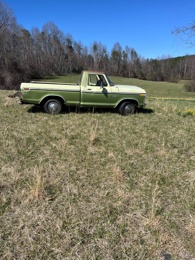 Ford-f100-pickup-1976-green-4