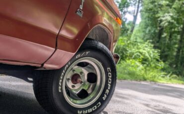 Ford-f100-pickup-1977-10