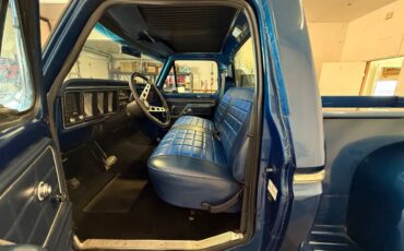 Ford-f100-pickup-1979-blue-8