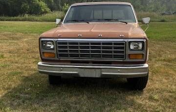 Ford-f100-pickup-1981-brown-2