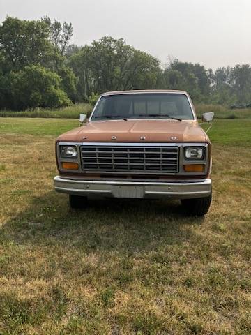 Ford-f100-pickup-1981-brown-2