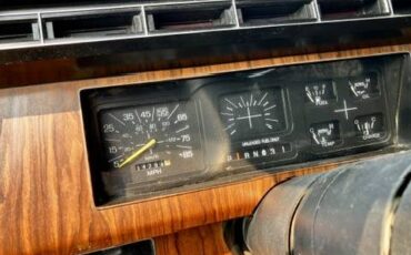 Ford-f100-pickup-1981-brown-3