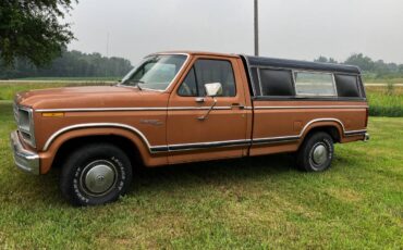 Ford-f100-pickup-1981-brown