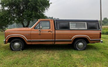 Ford-f100-pickup-1981-brown-4