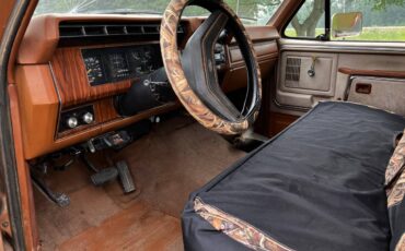 Ford-f100-pickup-1981-brown-6
