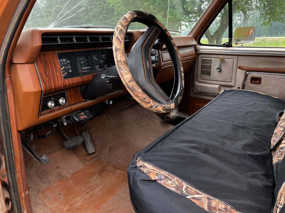 Ford-f100-pickup-1981-brown-6
