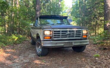 Ford-f100-pickup-1983-brown-1