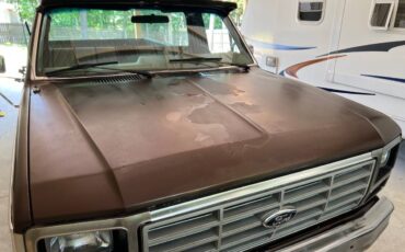 Ford-f100-pickup-1983-brown-11