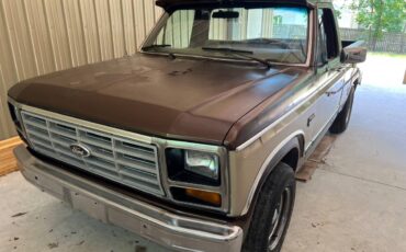 Ford-f100-pickup-1983-brown-12