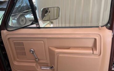 Ford-f100-pickup-1983-brown-19