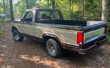Ford-f100-pickup-1983-brown-2