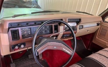 Ford-f100-pickup-1983-brown-22