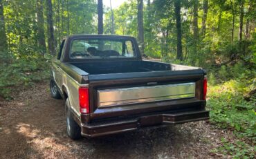 Ford-f100-pickup-1983-brown-3
