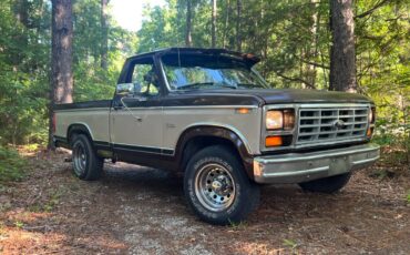 Ford-f100-pickup-1983-brown
