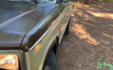 Ford-f100-pickup-1983-brown-4