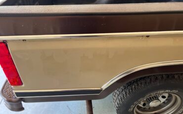 Ford-f100-pickup-1983-brown-6