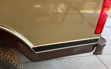 Ford-f100-pickup-1983-brown-7