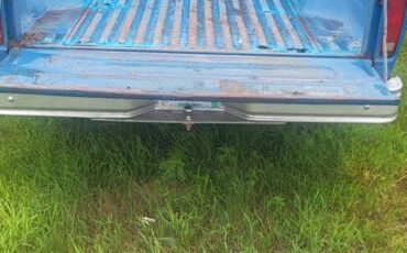 Ford-f150-1977-blue-9
