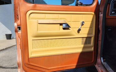 Ford-f150-1977-brown-8