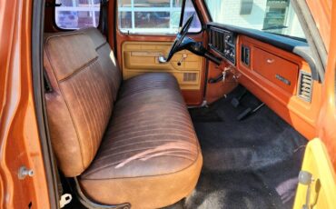 Ford-f150-1977-brown-9