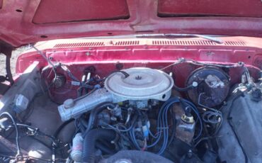 Ford-f150-1979-10