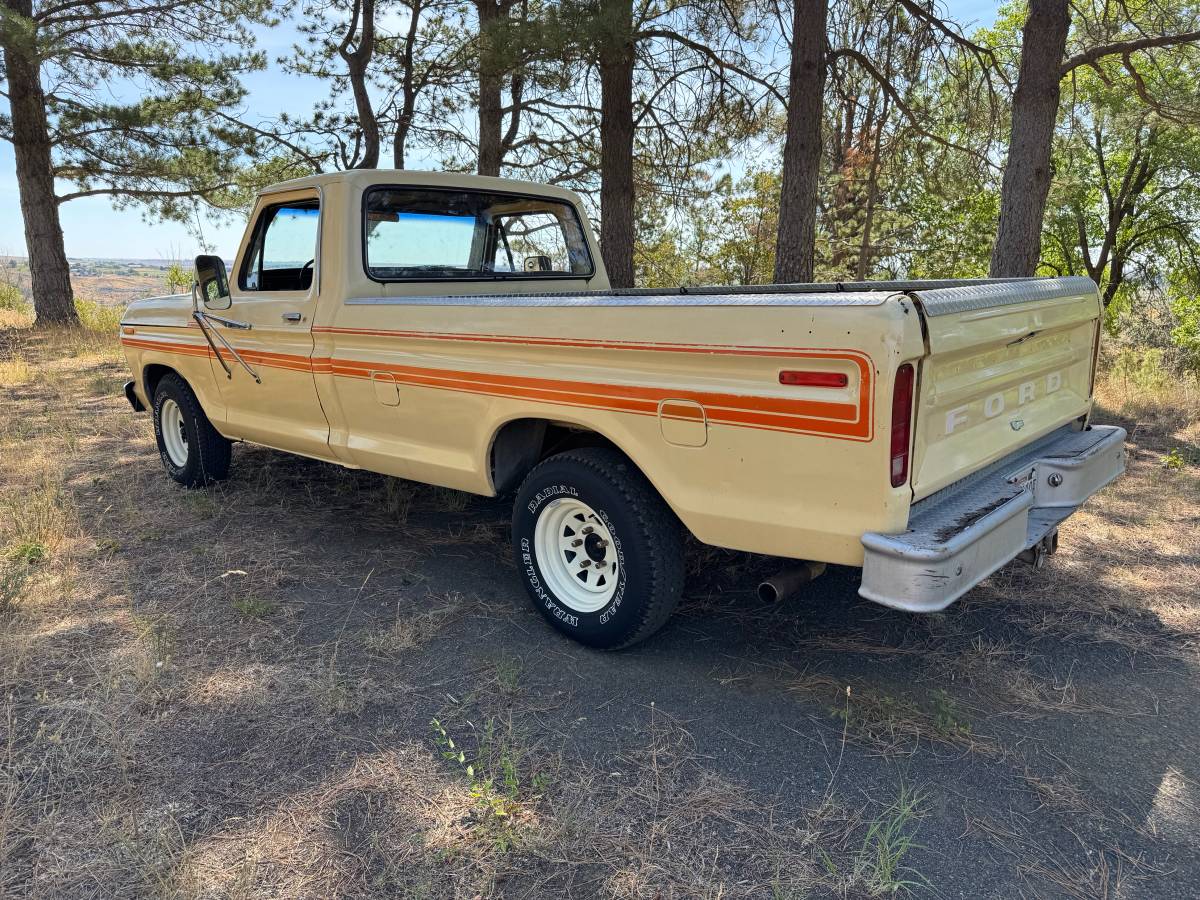 Ford-f150-1979-white-2