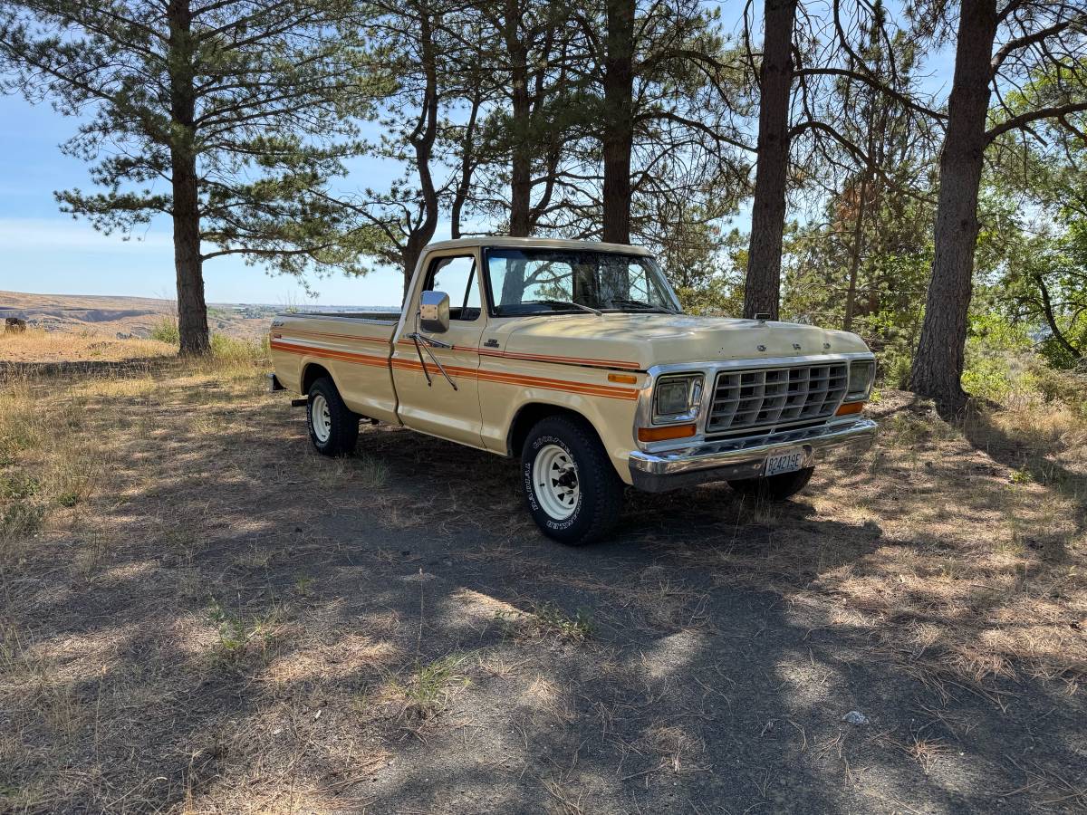 Ford-f150-1979-white-7