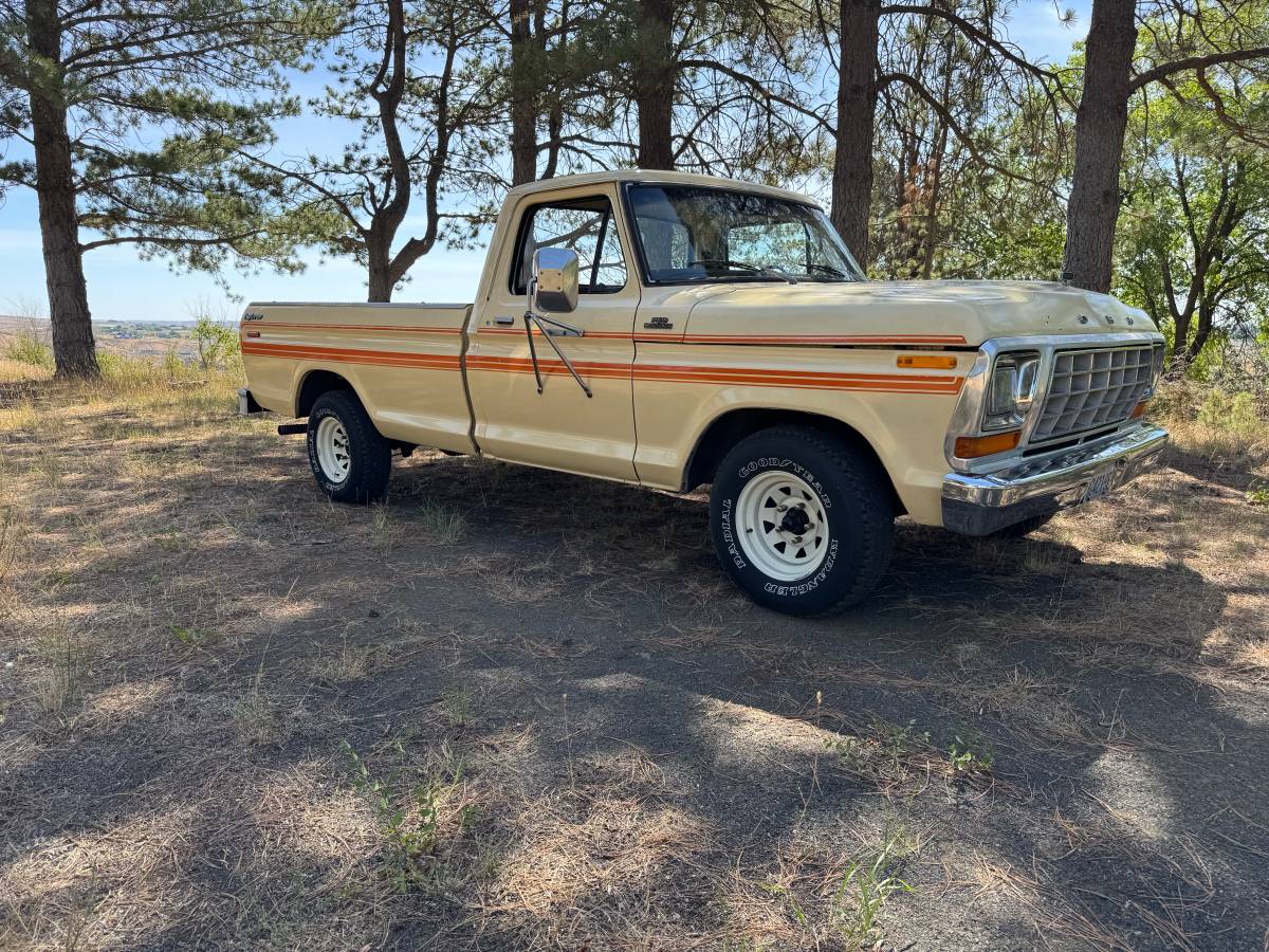 Ford-f150-1979-white-9