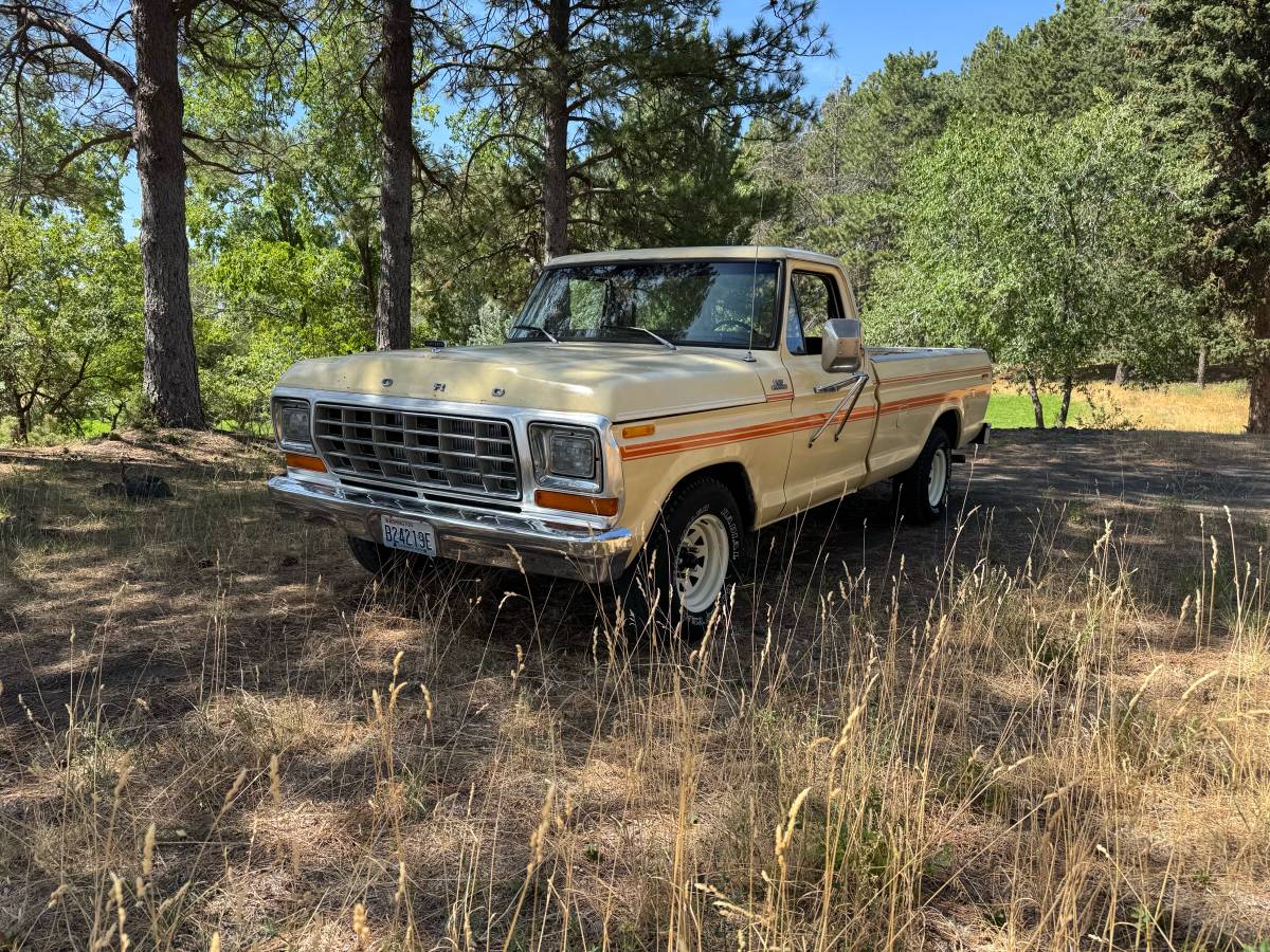 Ford-f150-1979-white