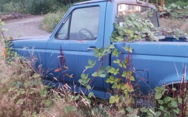 Ford-f150-1990-4