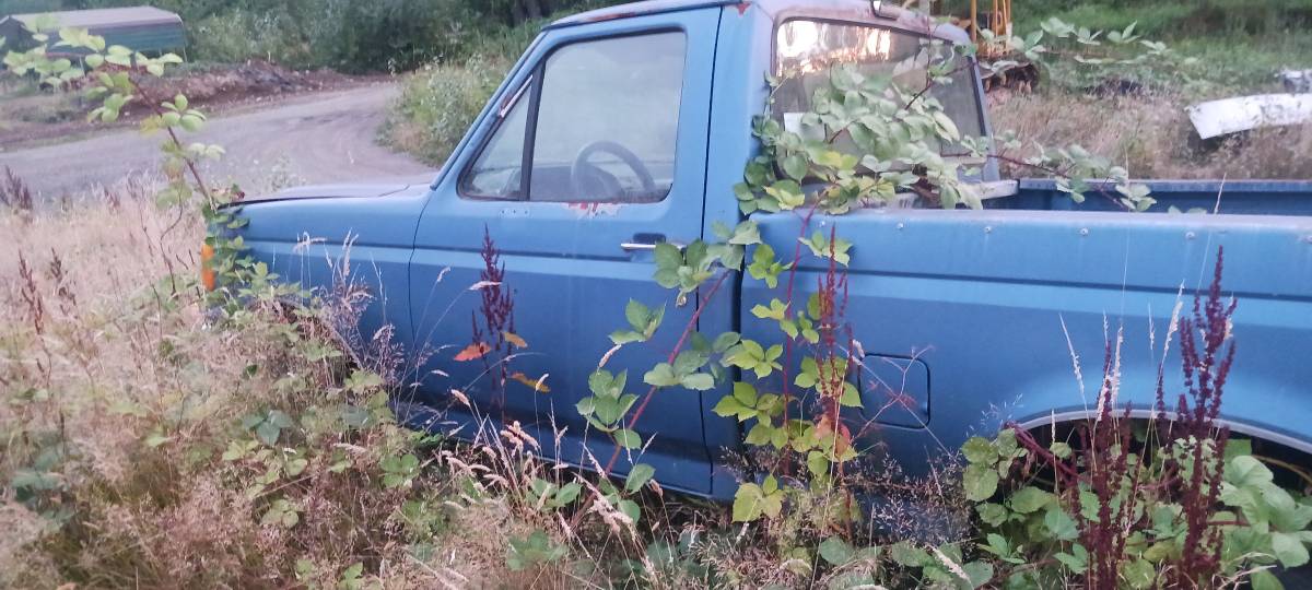 Ford-f150-1990-4