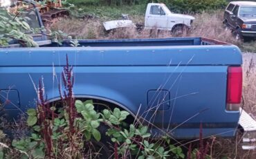 Ford-f150-1990-5