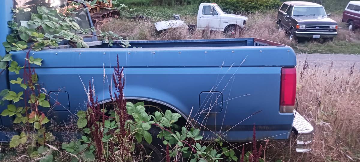 Ford-f150-1990-5